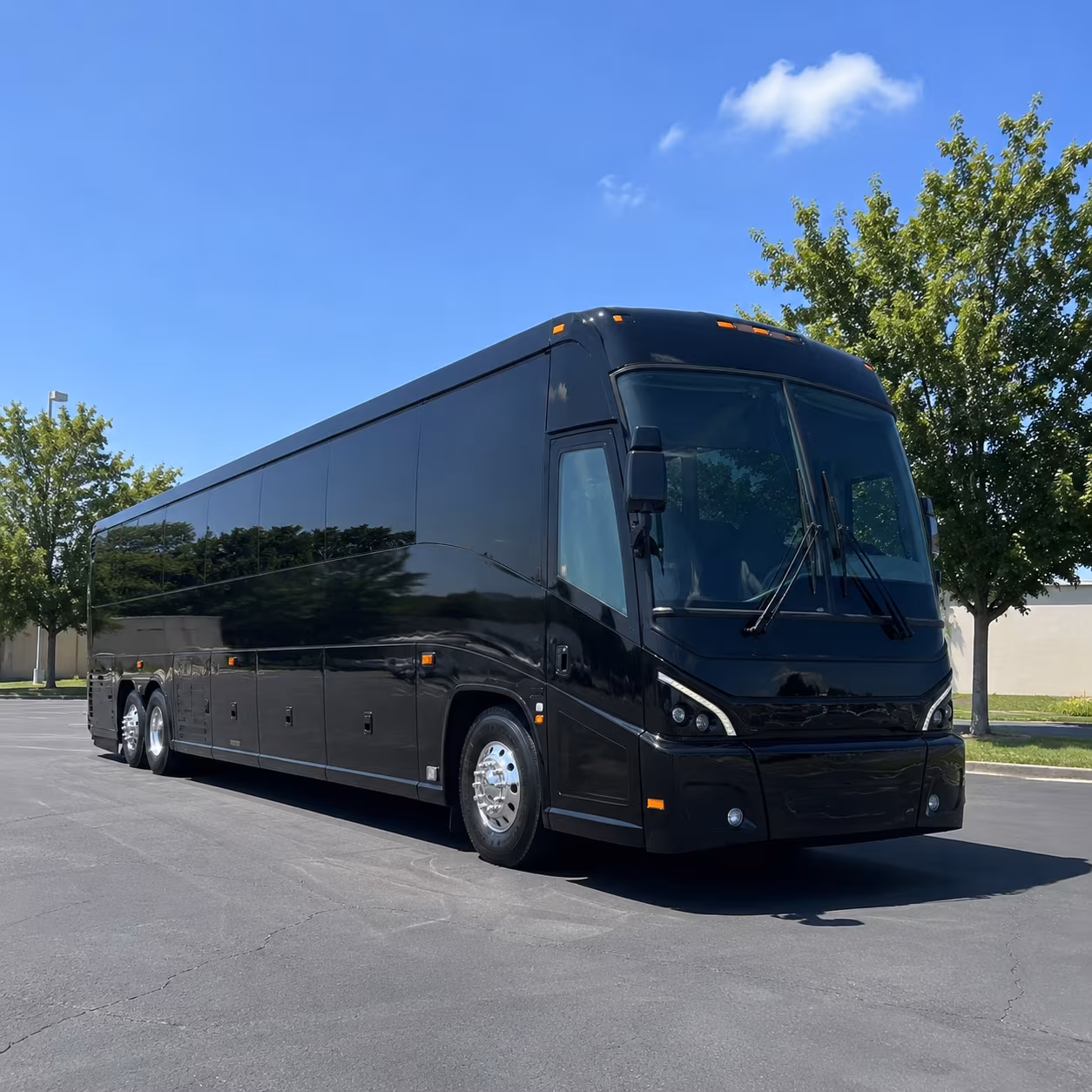 buckeye spacious charter bus rentals for buckeye wedding groups
